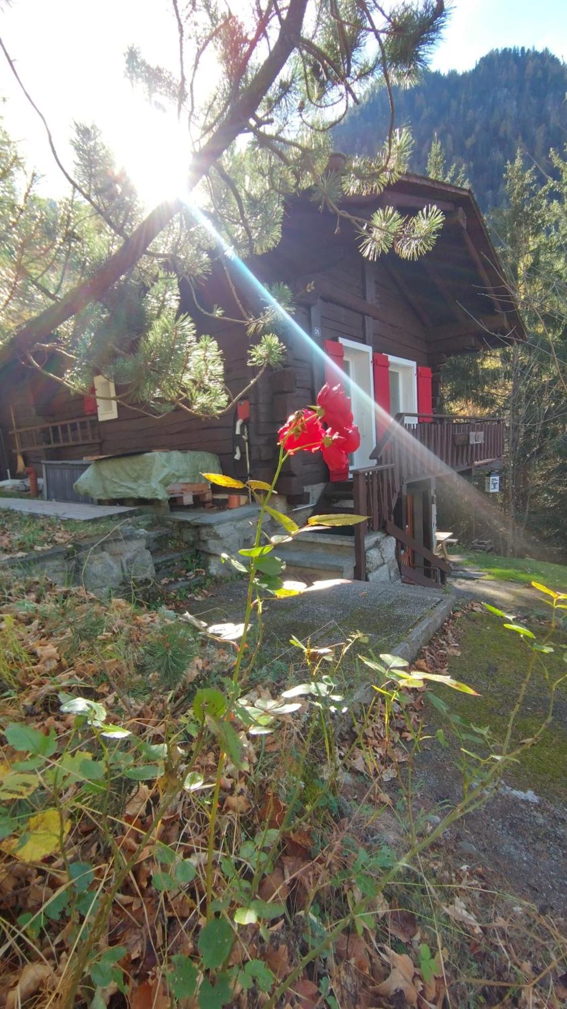 Petit Rustique Et Bucolique Chalet